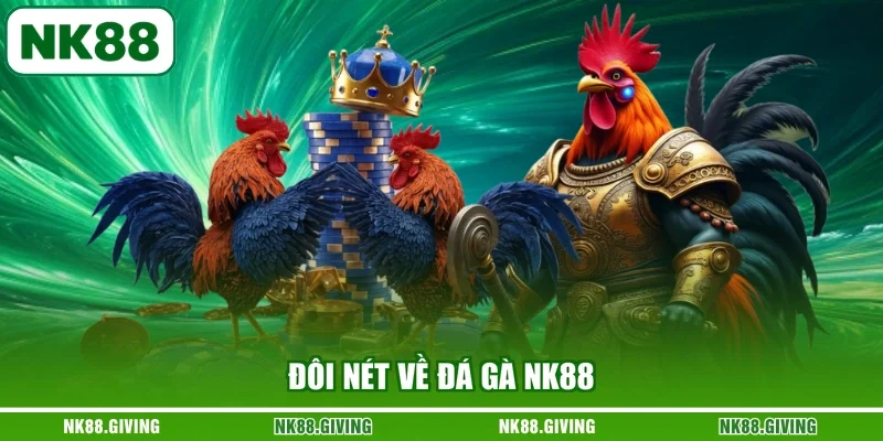 Đôi nét về đá gà NK88