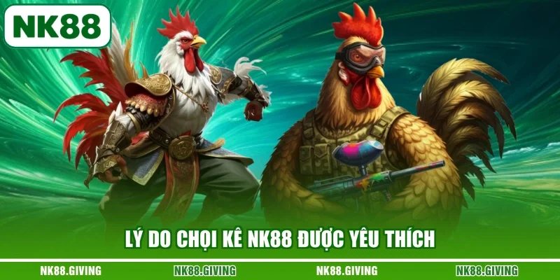 Lý do chọi kê NK88 được yêu thích